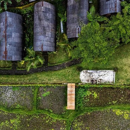 Omah Bapak Ijen Eco House Ξενοδοχείο Licin Εξωτερικό φωτογραφία