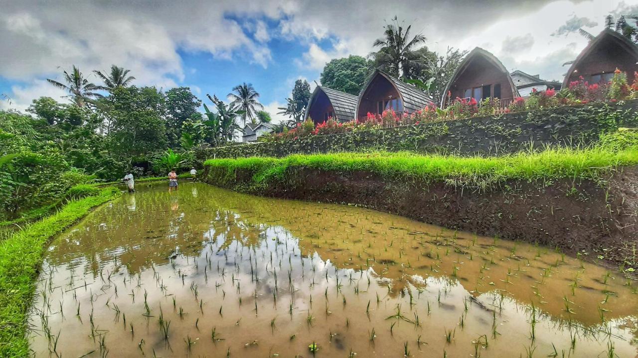 Omah Bapak Ijen Eco House Ξενοδοχείο Licin Εξωτερικό φωτογραφία