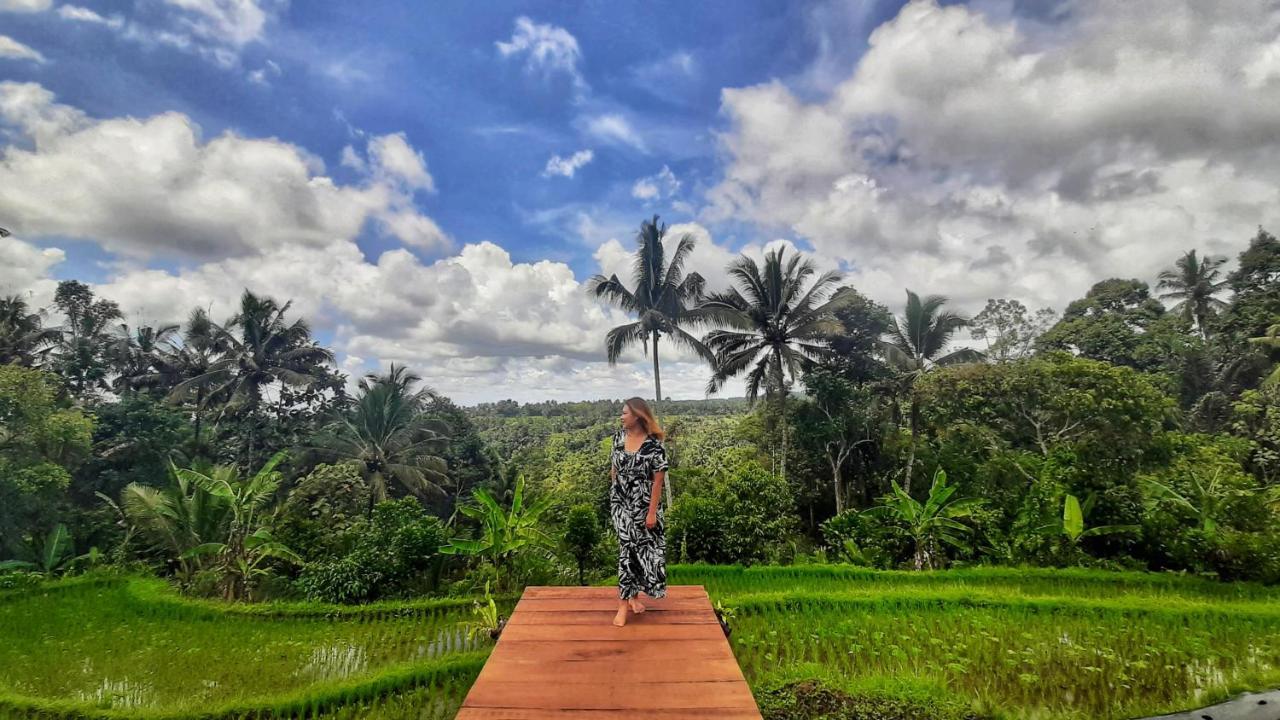 Omah Bapak Ijen Eco House Ξενοδοχείο Licin Εξωτερικό φωτογραφία
