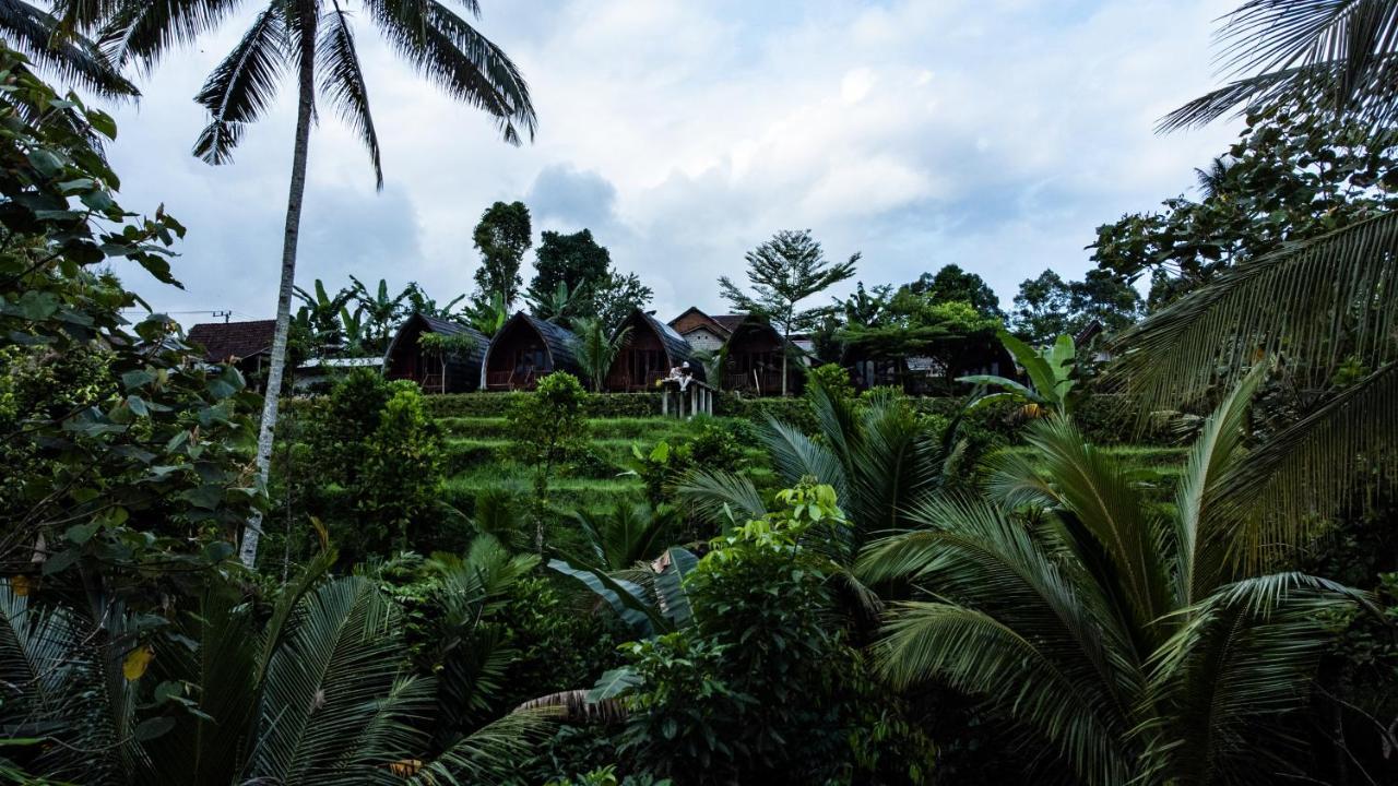Omah Bapak Ijen Eco House Ξενοδοχείο Licin Εξωτερικό φωτογραφία